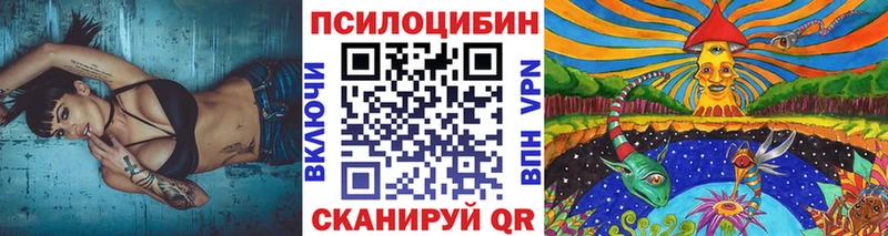 darknet как зайти  где купить   Протвино  Галлюциногенные грибы Cubensis 