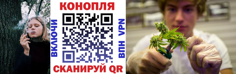 Бошки Шишки сатива  Протвино 